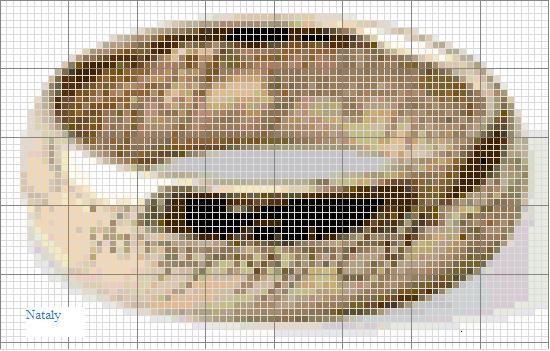 Schema punto croce Anello2