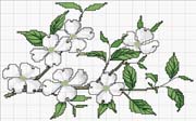 Schema punto croce Jasmine