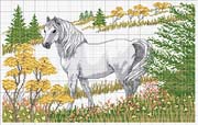 Schema punto croce Cavallo-bianco