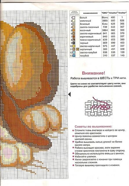 Schema punto croce Cane bassotto 2