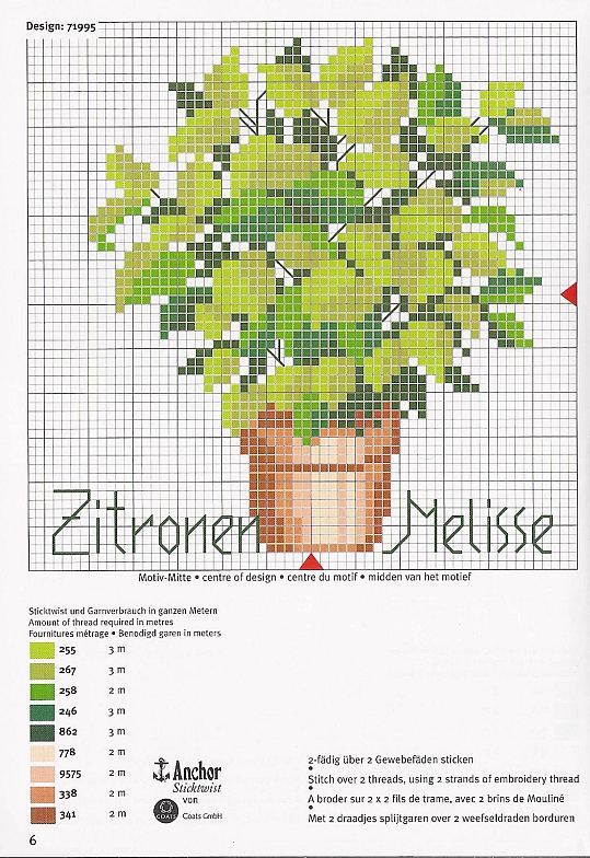 Schema punto croce Pianta 4