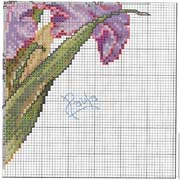 Schema punto croce Cuscino Iris 4