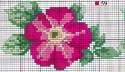 Schema punto croce Fiore Rosa