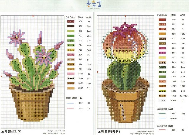 Schema punto croce Cactus 8