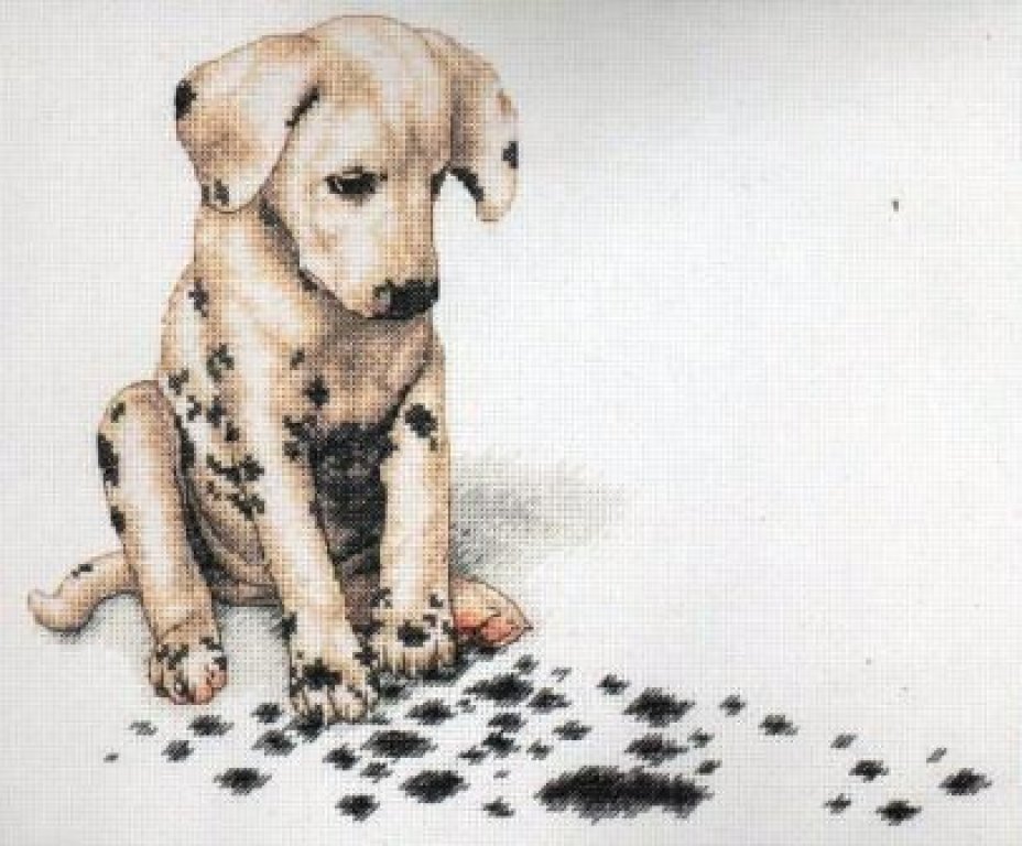 Schema punto croce Cagnolino macchie