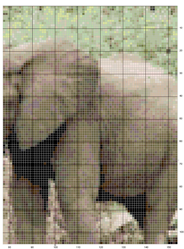 Schema punto croce Elefante 3
