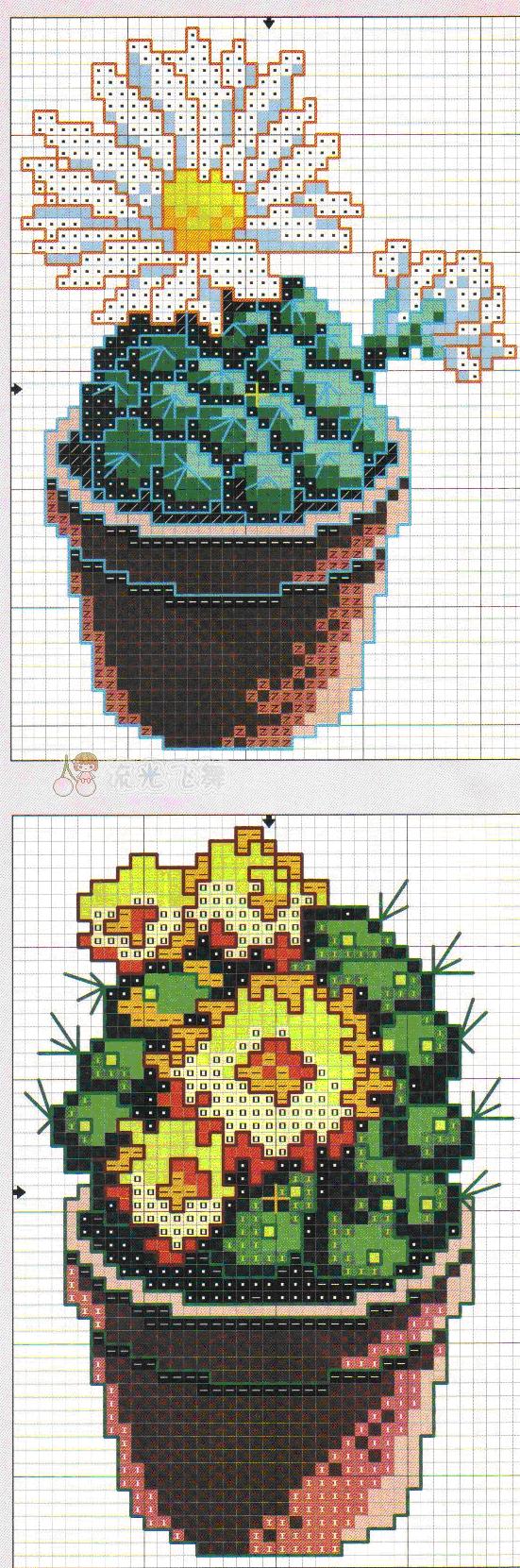 Schema punto croce Pianta grassa 3