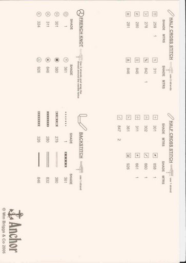 Schema punto croce Prato 11