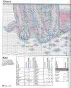 Schema punto croce Cagnolino-macchie-2