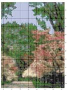 Schema punto croce Dogwood-trees-3