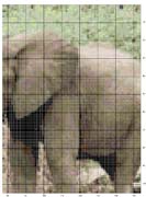 Schema punto croce Elefante-3
