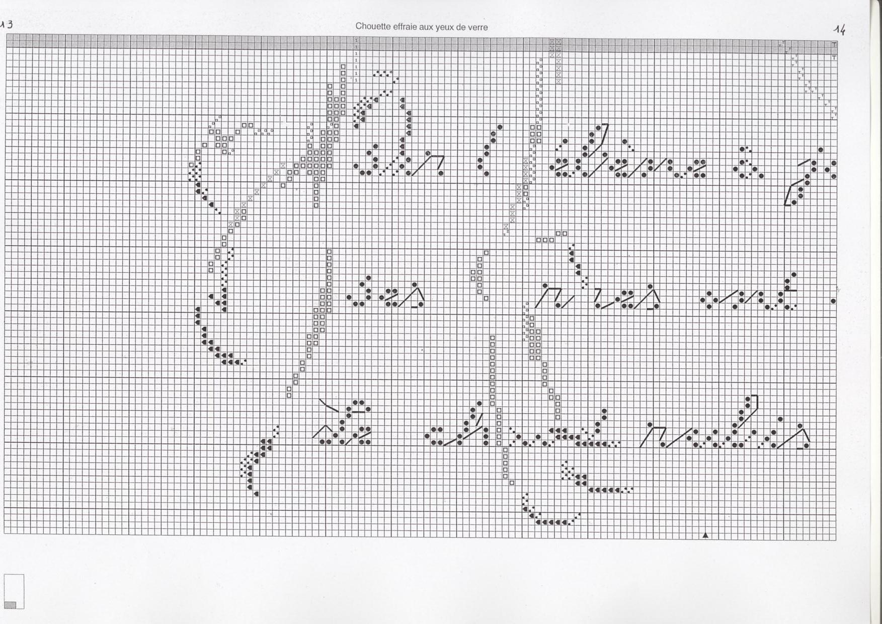 Schema punto croce Civetta 5