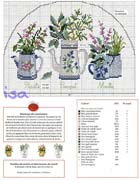 Schema punto croce Piante Aromatiche 2