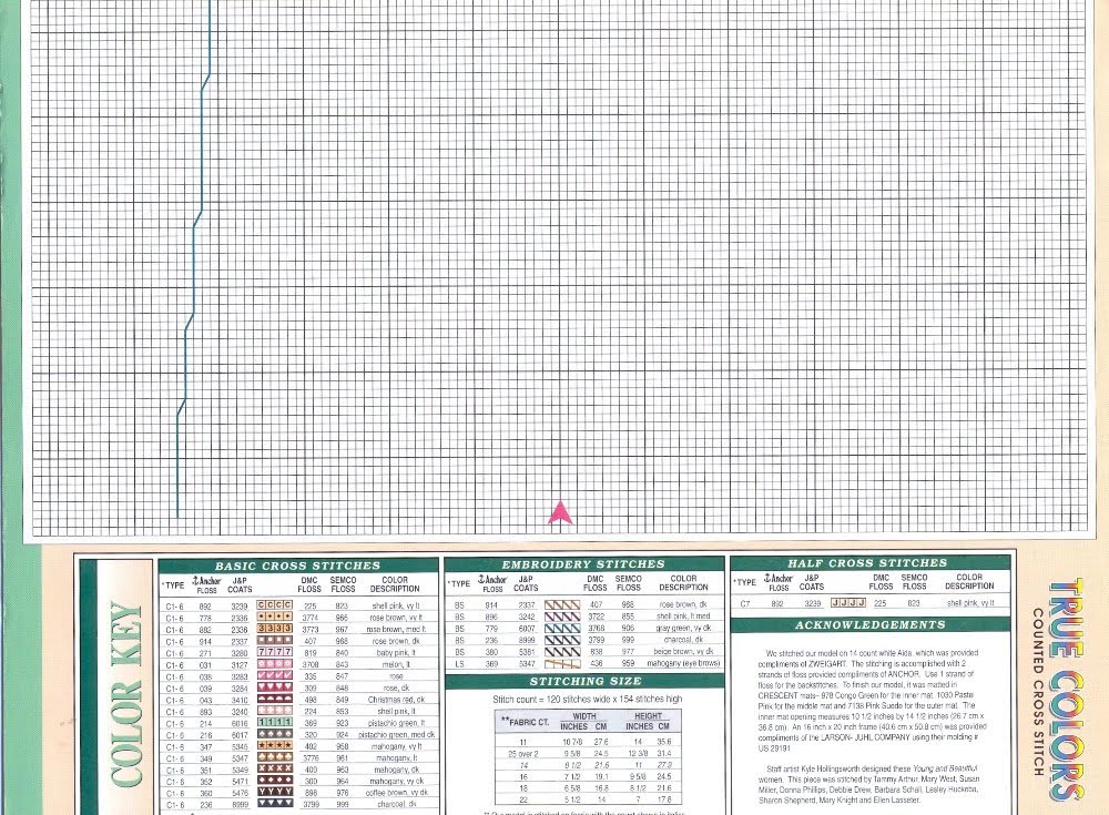 Schema punto croce Beautyfull 4