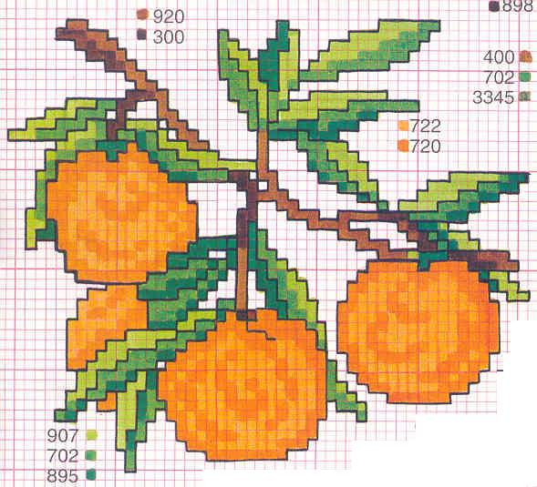 Schema 16 Frutta