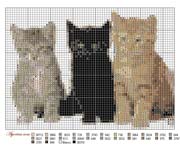 Schema punto croce Gatto Nero Grigio