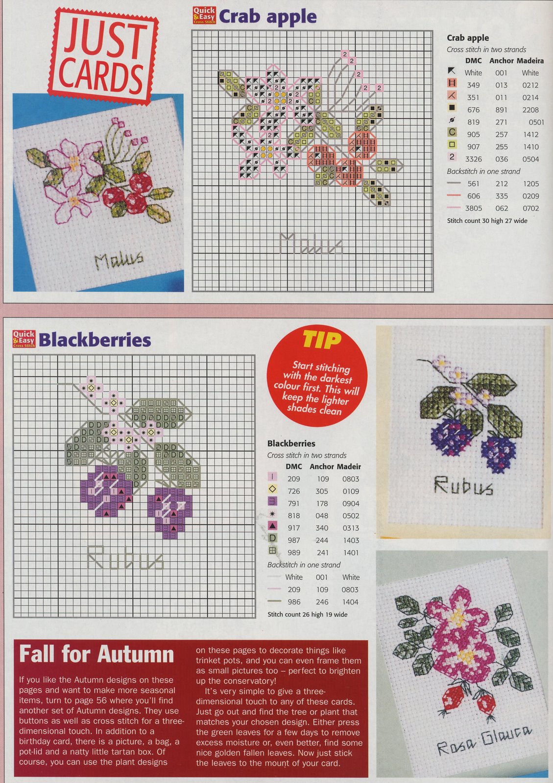 Schema punto croce Idee 445