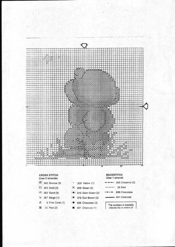 Schema punto croce Guardando Una Stella 2