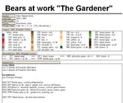 Schema punto croce Orso Giardiniere 3