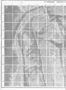 Schema punto croce Madonna Sistina 10