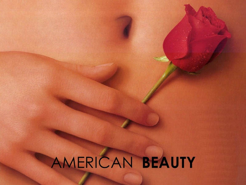 American Beauty