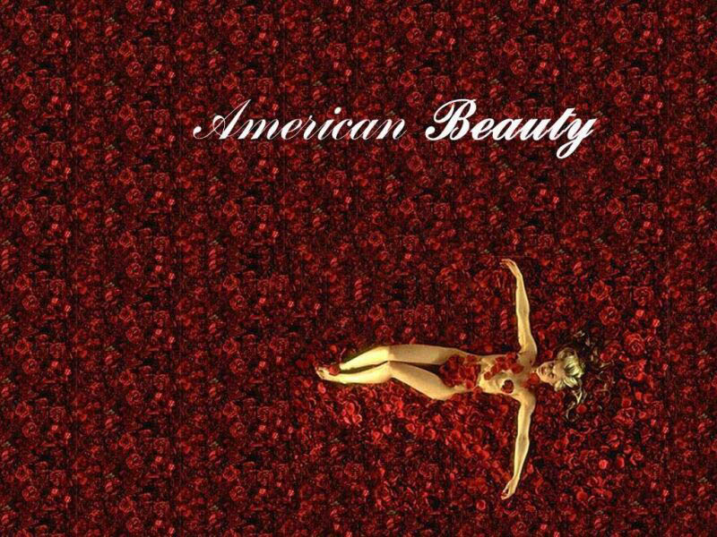 American Beauty