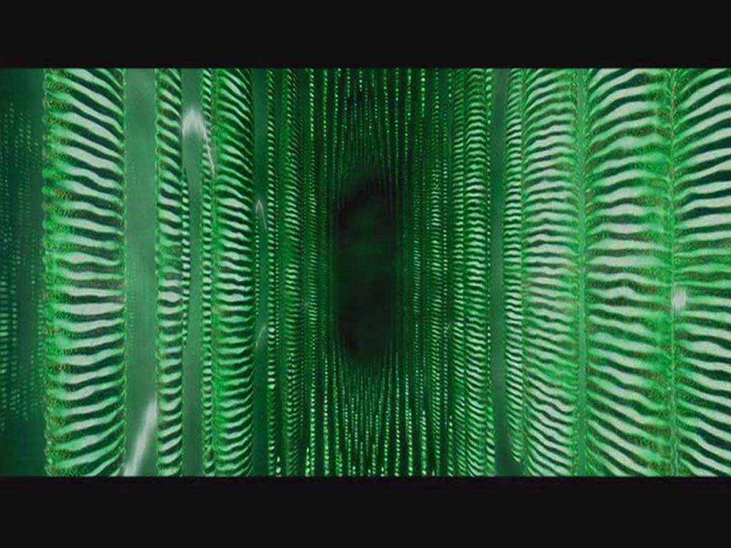 Matrix