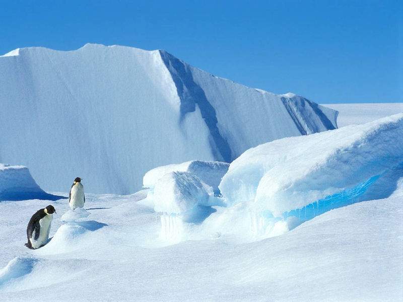 Antartico