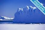 Antartico