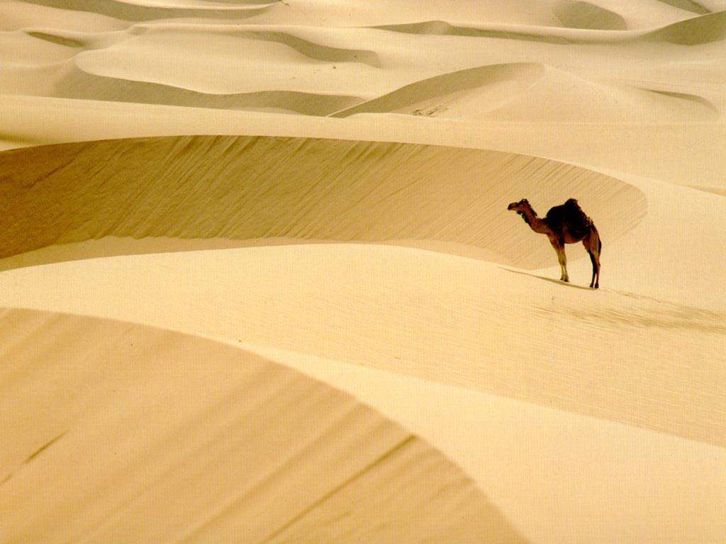 Deserto