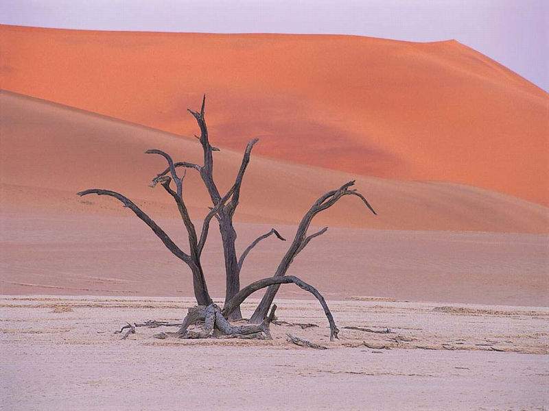 Deserto