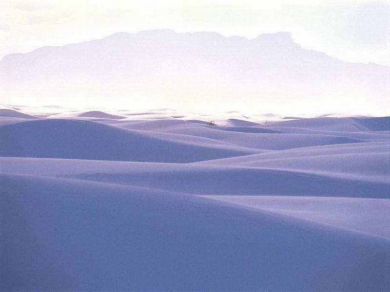 Deserto