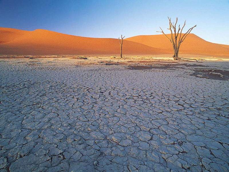 Deserto