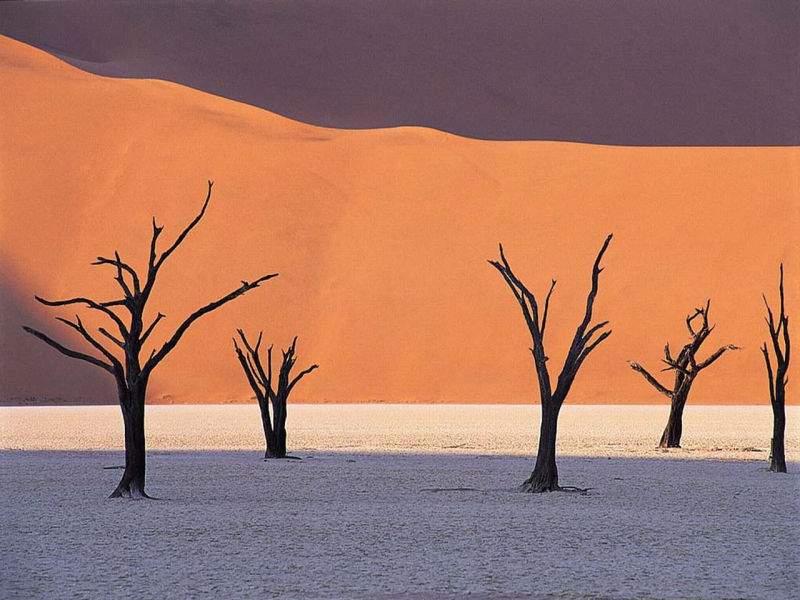 Deserto