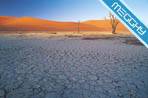 Deserto